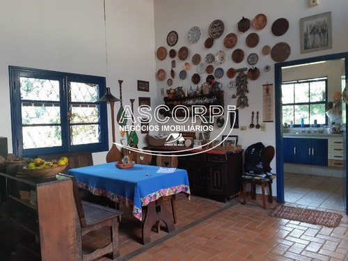 Imagem 8 de 25 de Excelente Chácara No Bairro Santa Rita.(código Ch00064) - Ch00064 - 71004358