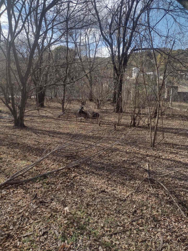 Imagen 10 de 14 de Terreno De 4.450 M2 Rio Ceballos Sobre E 53