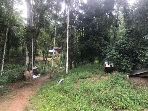 Imagem 4 de 6 de Area - Horto Figueira - 1451