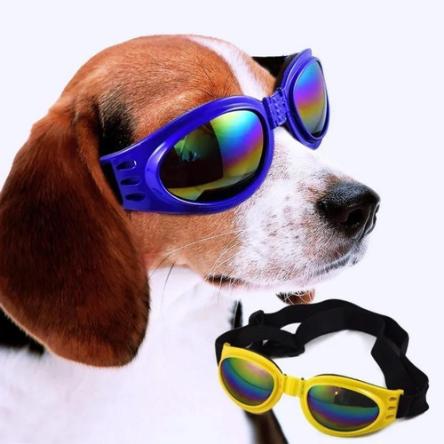 Imagem 1 de 1 de Óculos De Proteção Moto Para Pet - Óculos De Sol P/ Cachorro