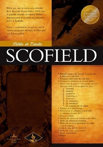 Biblia Rvr60 De Estudio Scofield · Símil Piel 