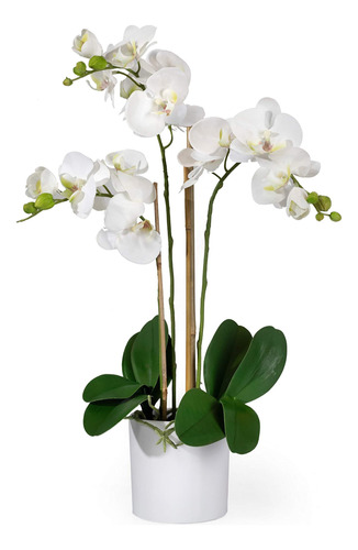 Spaz Living 3 Orquidea Blanca Realista Phalaenopsis Maceta