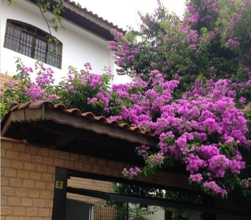 Imagem 1 de 8 de Sobrado À Venda, 3 Quartos, 1 Suíte, 4 Vagas, Rina - Santo André/sp - 48053