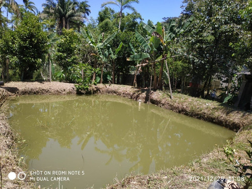 Imagem 22 de 24 de Chácara Com Piscina, Churrasqueira, Cachoeira, Riacho, Lago, Tanque Para Peixe, Árvores Frutíferas, No Bairro Loty Em Itanhaém, Aceita Carro Como Parte De Pagamento Ref: Ch119/ac