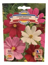 Comprar Semillas Flor Cosmos - Jardines - Envíos
