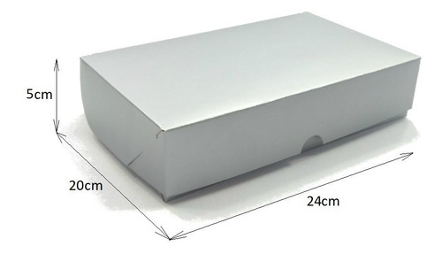 Caixa De Presente C/20 Unidades 24x20x5 R2