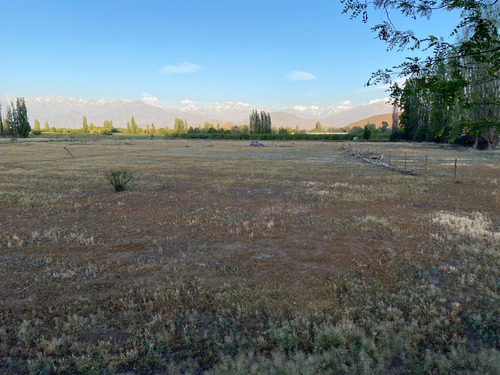 Terreno 5000 M2 Con Derechos De Agua Y Servicios Básicos.