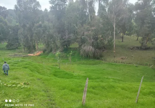 Lotes De 1.600 Metros Cuadrados
