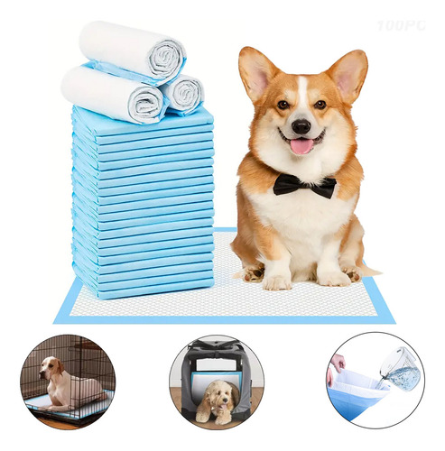 100 Pañales Entrenadores Absorbentes Para Mascotas 45x33cm