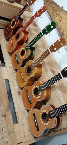 Imagen 7 de 7 de Ukelele Soprano Profesional Con Su Forro Protector