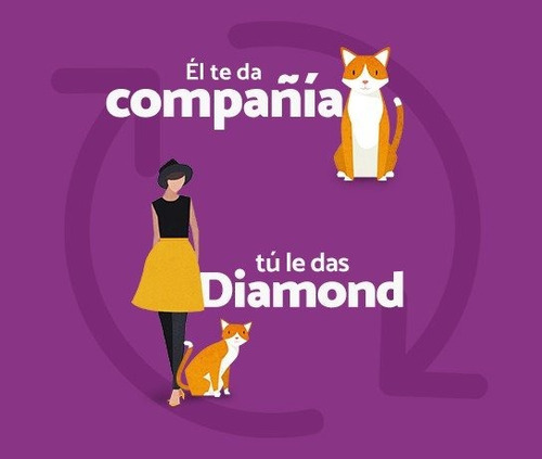 Alimento Para Gato Diamond Maintenance Cat - Mix - 18.14 Kg