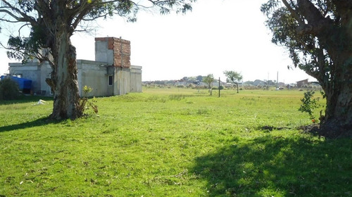 Imagen 10 de 16 de Terreno San Clemente Del Tuyú, Barrio Playa Grande Con Arboles. Escritura Inmediata