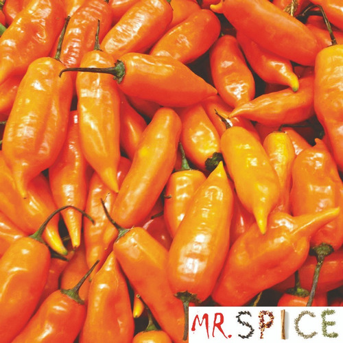 Sementes Da Pimenta Aji Amarillo Pimenta Peruana Para Vasos