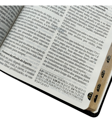 Bíblia Sagrada Com Harpa Cristã Arc Letra Grande Com Índice Capa Luxo Preta