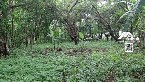 Imagen 6 de 7 de Venta De Terreno En Las Flores, Masaya