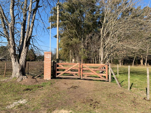 Imagen 23 de 24 de Venta/permuta- Hermosa Parcela De 8500 Mts