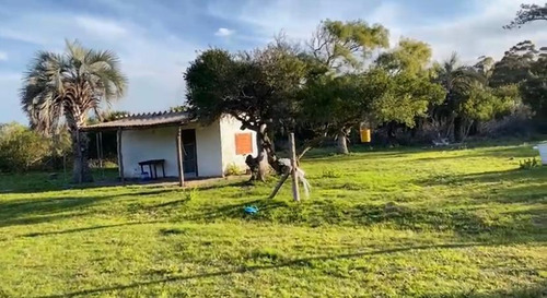 Terreno Con Construcción En El Palenque Prox.al Mar. 