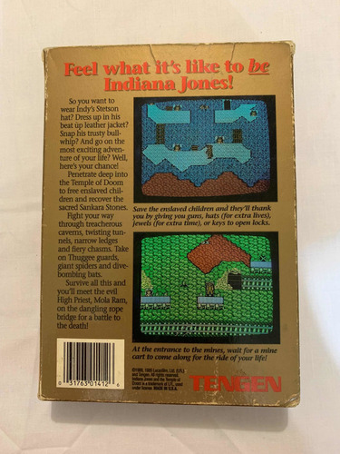Indiana Jones And The Temple Of Doom Completo Nintendo Nes (Usado)