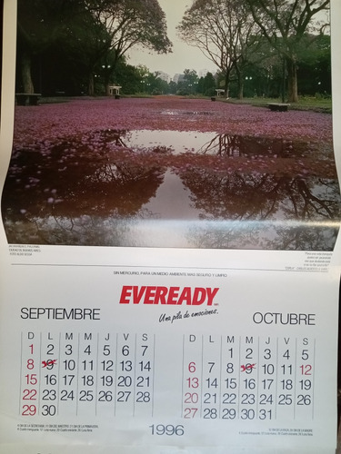 Almanaque Antiguo 1996 Eveready Fotos Aldo Sessa (Usado)