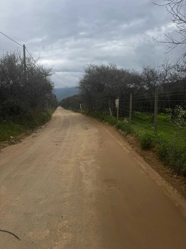 Parcelas De Agrado 10000 M2 Curacavi Ruta 68 (176809)