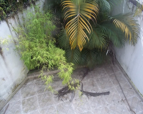 Imagem 23 de 24 de Casa - Lu7238 - 32298873