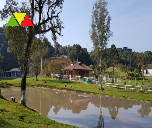 Imagem 3 de 30 de Chácara Em Cai De Baixo - Ch00088 - 34982990
