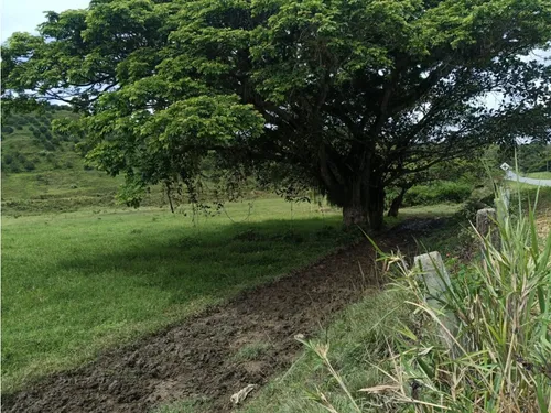 Se Vende Finca Vía Barragan - Rio Verde