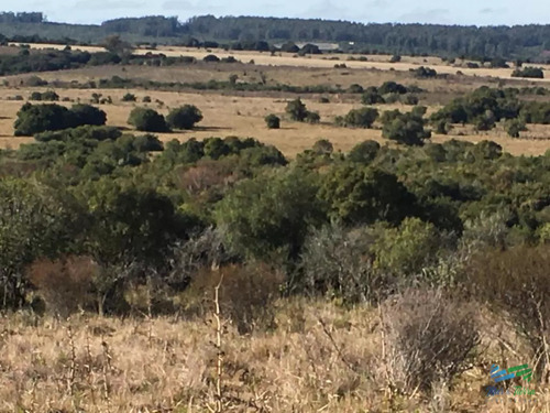 80 Has Al Norte De Garzon, Buen Acceso, Vistas, Monte Y Luz En La Portera