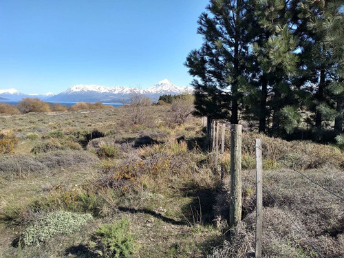 Imagen 6 de 9 de Lote Forestado Frente Al Lago Huechulafquen