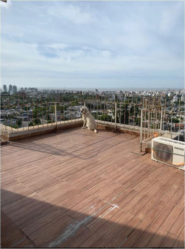 Imagen 21 de 22 de Alquiler De Apartamento En Parque Batlle Montevideo