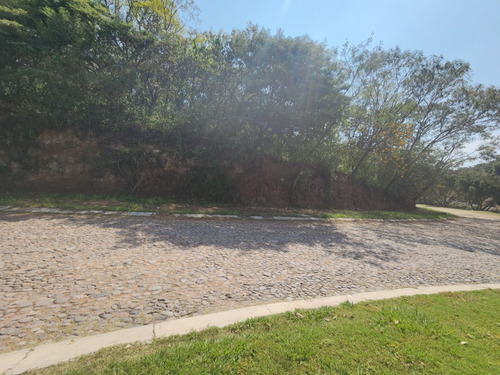 Venta Lote Glorieta Iii Muy Cerca Del Acceso Y De Las Amenidades Sobre Boulevard Fracc Rancho San Diego Ixtapan De La Sal Edomex