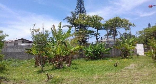 Imagem 7 de 12 de Terreno Próximo A Praia Do Campeche - Te0522