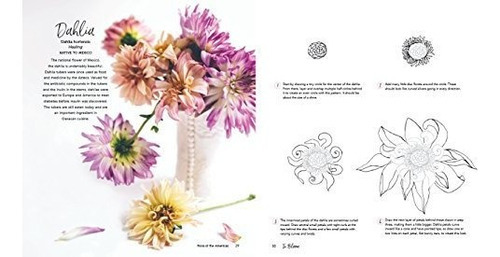 In Bloom A Step-by-step Guide To Drawing Lush Florals, de Reinert, Rac. Editorial Get Creative 6, tapa blanda en inglés, 2018