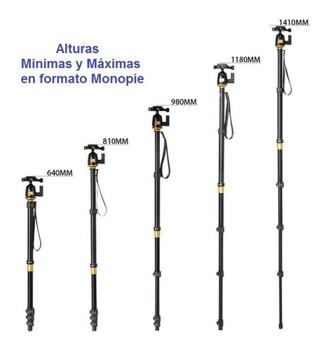 Imagen 4 de 9 de Tripode Monopie Compacto Fotografia Cenital Cabezal Q555