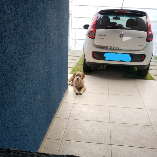 Fiat Palio 2016 1.6 16v Sporting Flex 5p