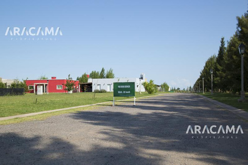Imagen 7 de 30 de Lote En Venta En Belleville - Canning