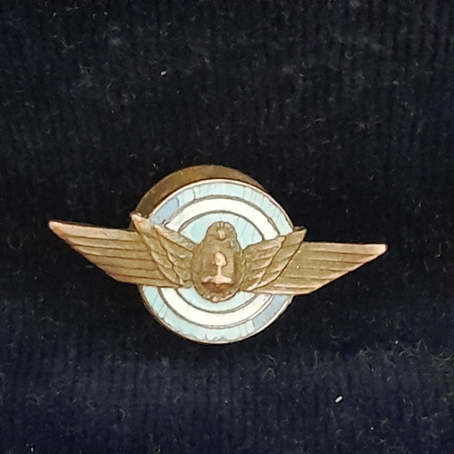 Pin Antiguo Fuerza Aerea Argentina (Usado)