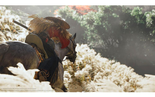 Jogo Ghost Of Tsushima Director's Cut Mídia Física Ps4 Sony