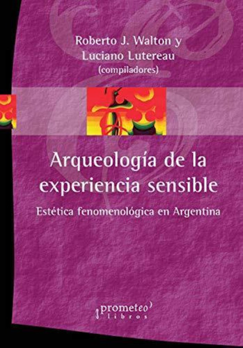 Arqueologia De La Experiencia Sensible Estetica Fenomenologi