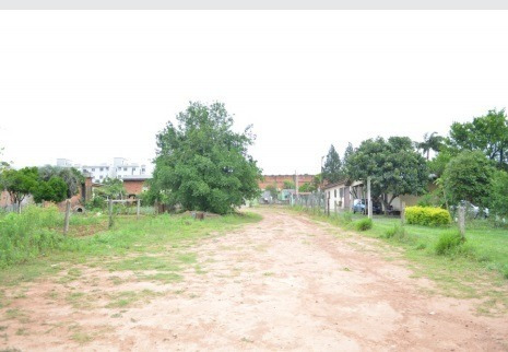 Imagem 5 de 15 de Terreno - Estancia Velha - Ref: 50998 - V-50998