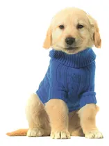 Comprar Moldes Y Patrones De Ropa Para Perros Accesorios Casitas