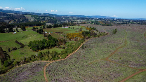 Campo Subdividido En Temuco De 93 Hectáreas Con 135 Lotes