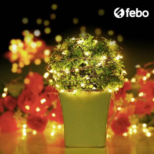 Guirnalda Alambre Luciernaga 5 Metros Guia Luces Led Febo