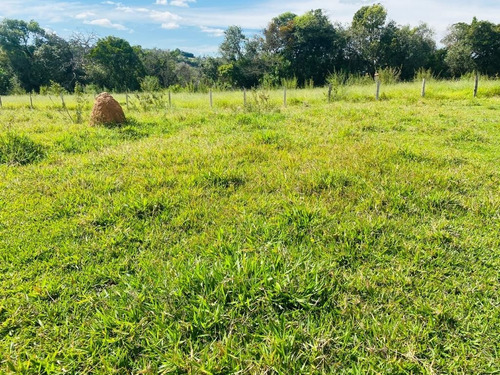Imagem 4 de 5 de 06- Lotes Em Jacareí Com 5mil 7mil E 10 Mil Metros