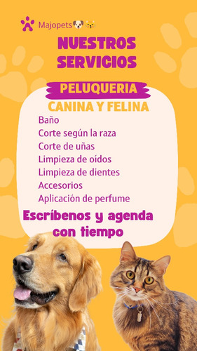 Peluqueria Canina A Domicilio 