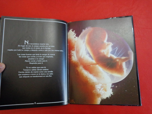 Sheila Kitzinger Nacer