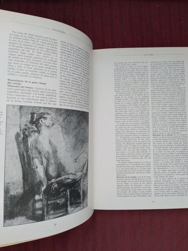 Libro Anatomía, Perspectiva Y Composición Para El Artista (Usado)