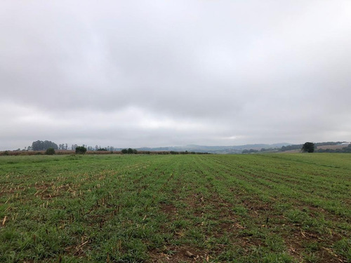 Imagem 9 de 24 de Vendo Fazenda Regiao De Pouso Alegre (6178)