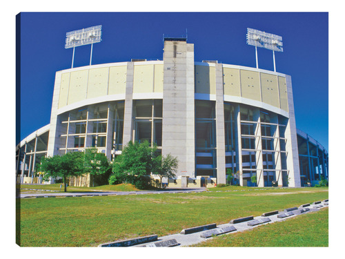 Cuadro Decorativo - Estadio De Fútbol Americano De Tampa Bay