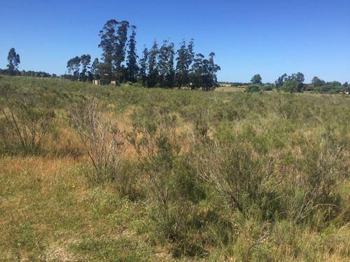 Vende Chacra En Excelente Punto Sobre Camino A 1 Km De Ruta